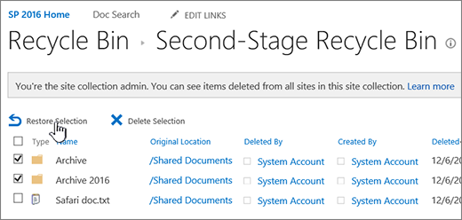 How Long Does Sharepoint Keep Deleted Files?