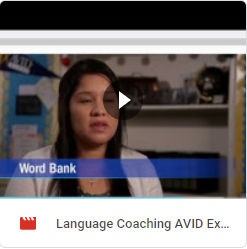 What is Avid Excel?