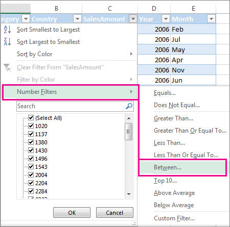 How to Filter Out Data in Excel?