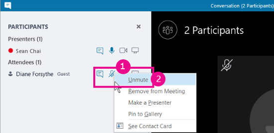 How To Mute Someone In Skype?