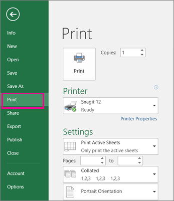 How to Preview Worksheet in Excel?