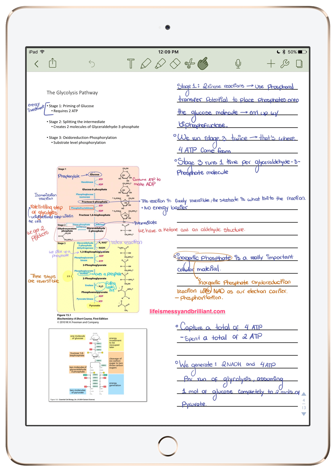 How to Write on Powerpoint Slides on Ipad?