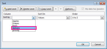 How to Custom Sort in Excel?