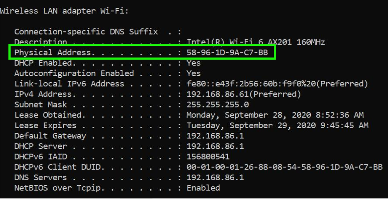 How to Find Host Id on Windows 10?