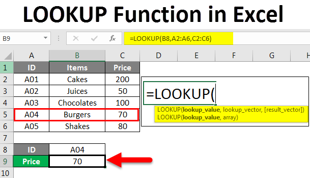 How to Use Excel Lookup Function?