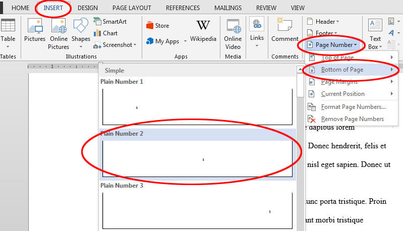 How to Add Page Numbers Microsoft Word?