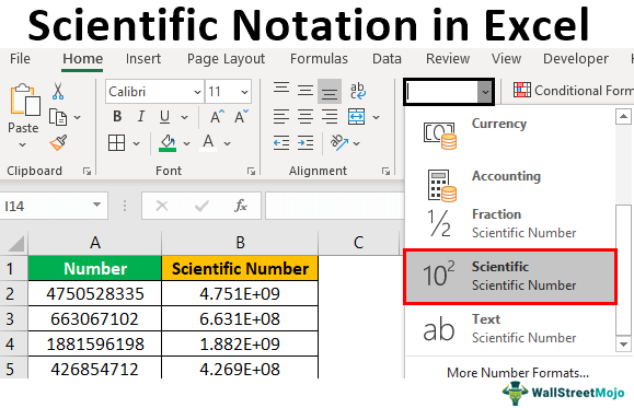 How to Do Scientific Notation in Excel?