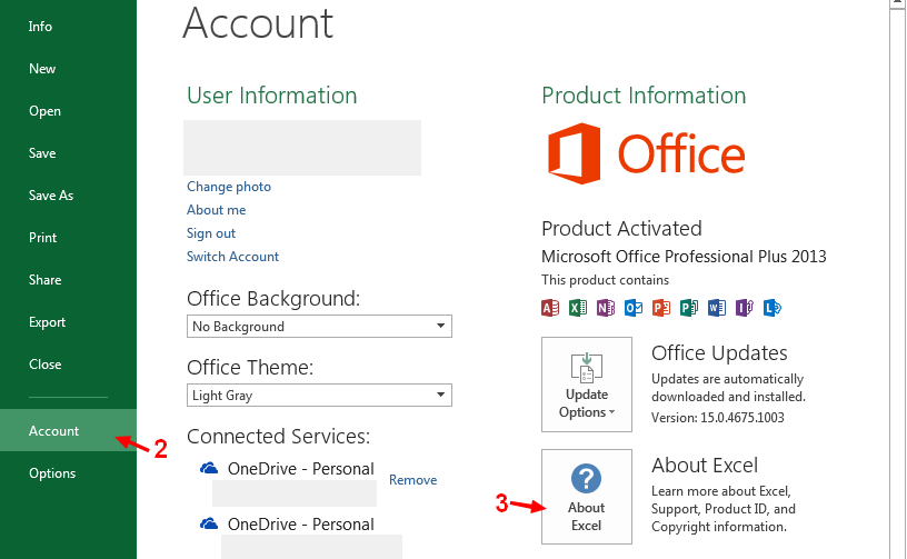 Which Version of Excel Do I Have?