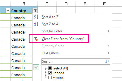 How to Remove Filter in Excel?