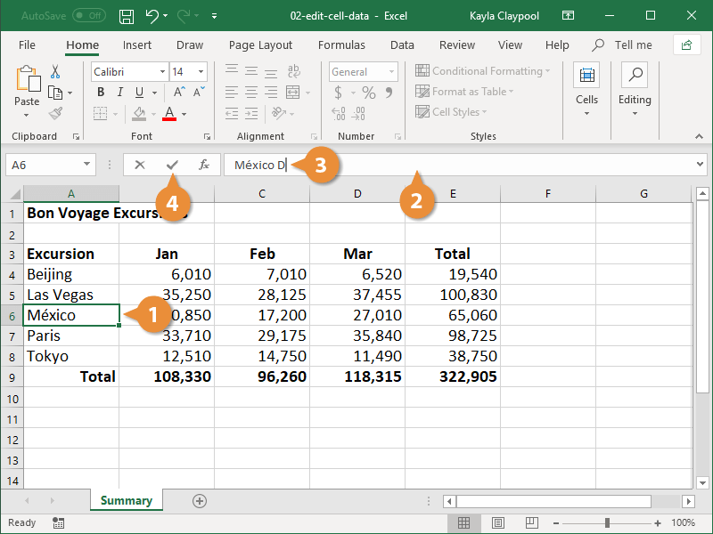 How to Edit a Cell in Excel?