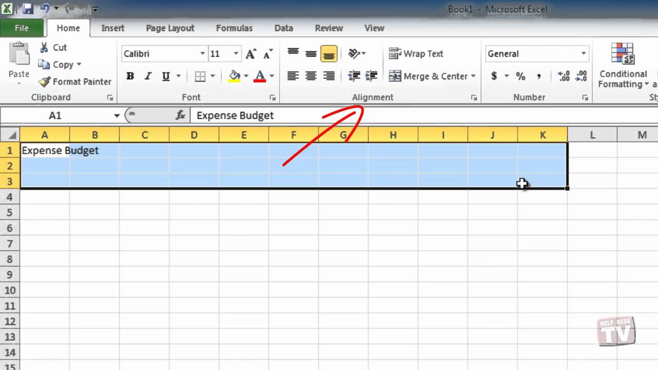 How to Align Text in Excel?