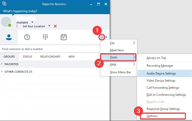 How To Show Skype Status Always Available?