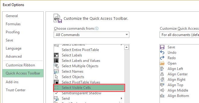 How to Select Visible Cells in Excel?