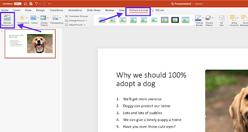 How to Remove Picture Background in Powerpoint?