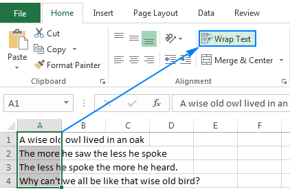 What is Wrapping Text in Excel?