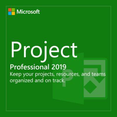 Microsoft Project Professional 2019 Product Key Digital ESD 076-05795