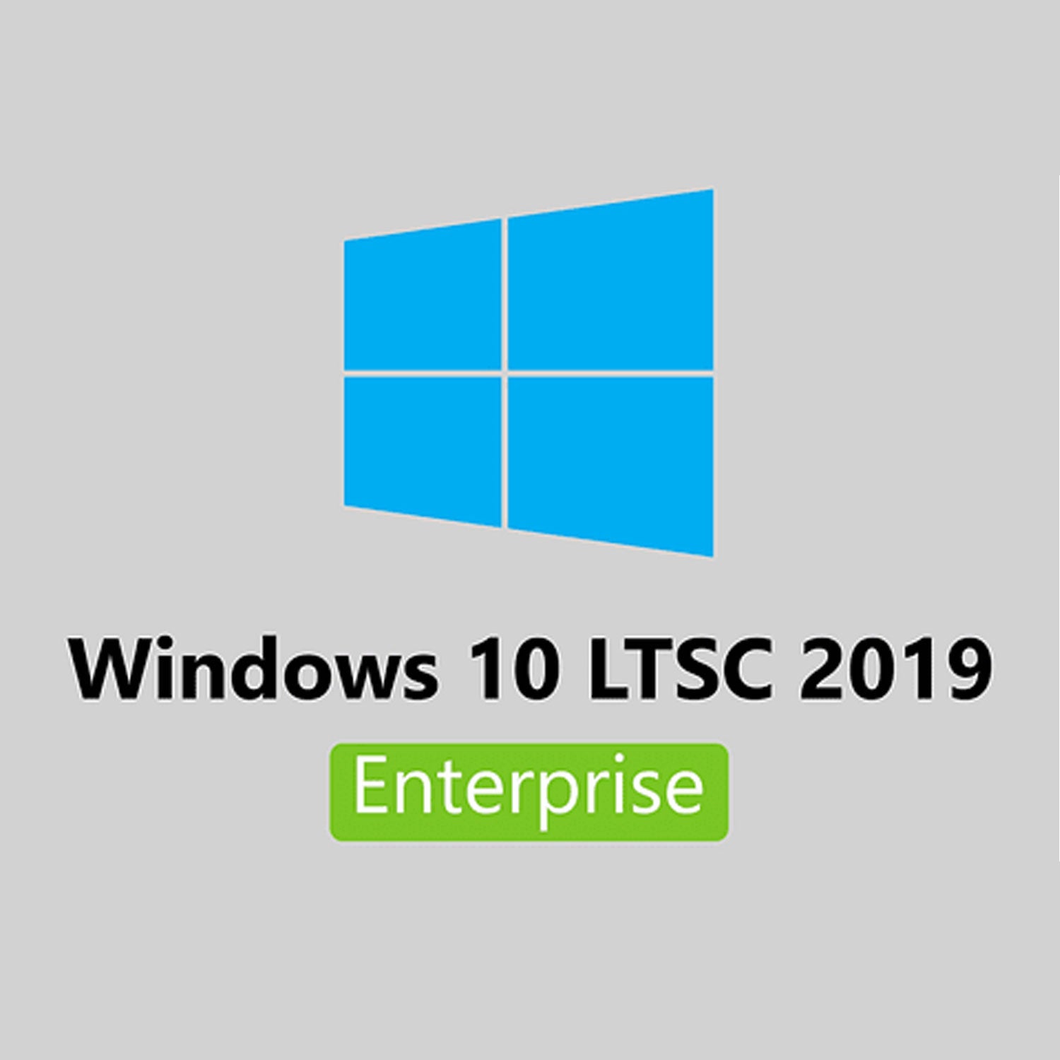 Windows 10 Enterprise LTSC 2019 Product Key License Digital - Instant cdkey